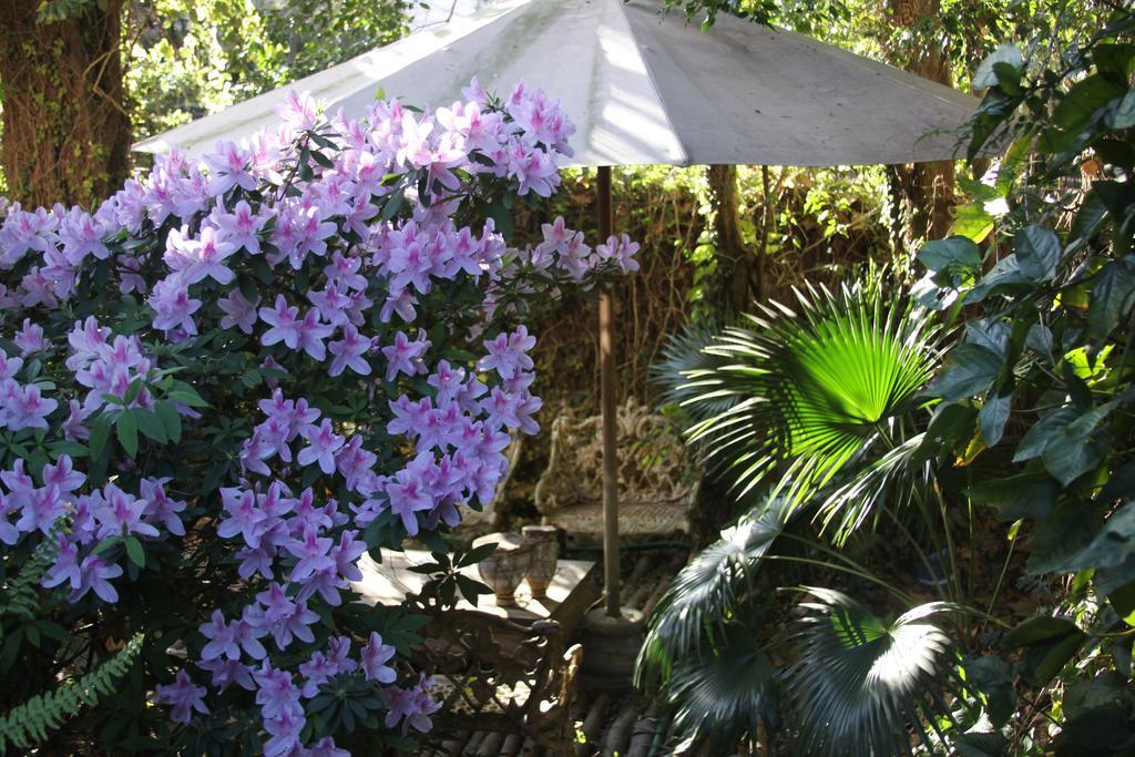 Bed and Breakfast La Casona De Grace Olivos Exterior foto